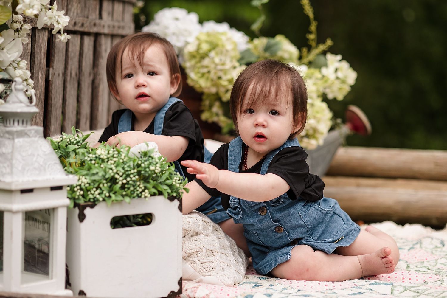 Frozen Moments Studio