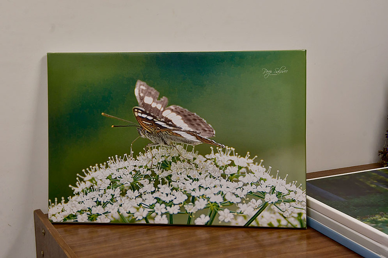 MÜÜA NÄITUSE OLNUD LÕUENDIPILTE