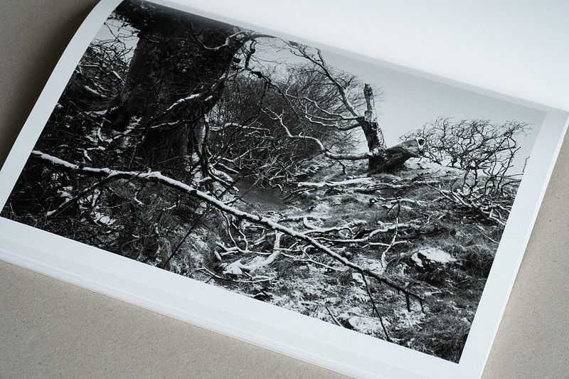 The Killing Ditch - Signed