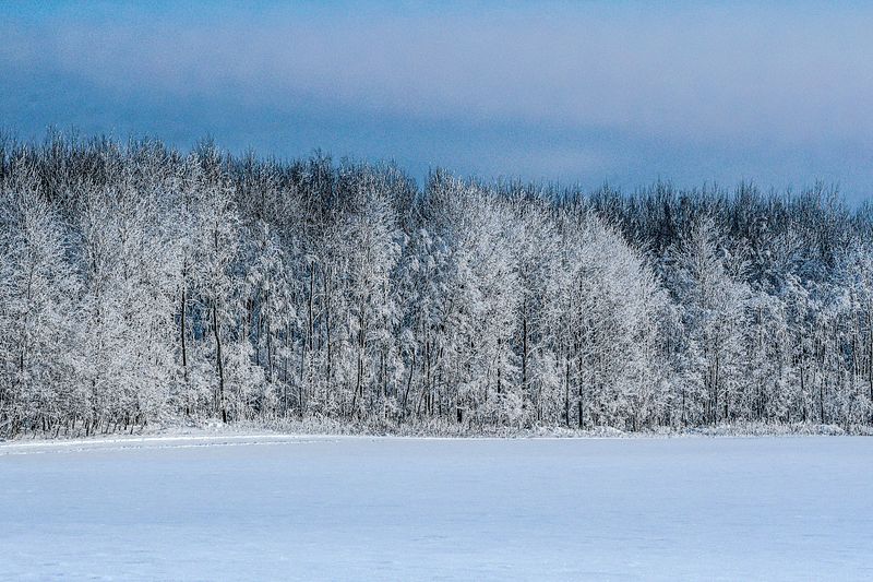 Külmad päevad, kui ööd loovad lumiseid hetki.