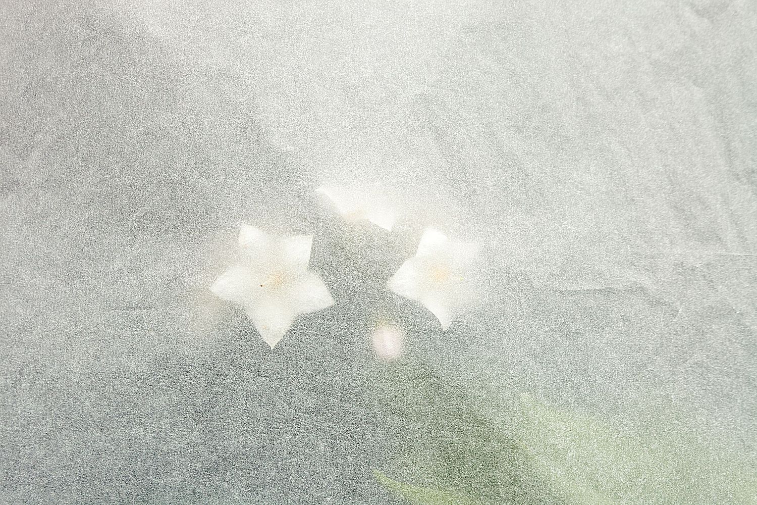 Jos&eacute; Javier Gonz&aacute;lez