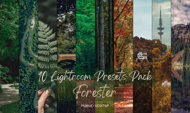 Forester Pack