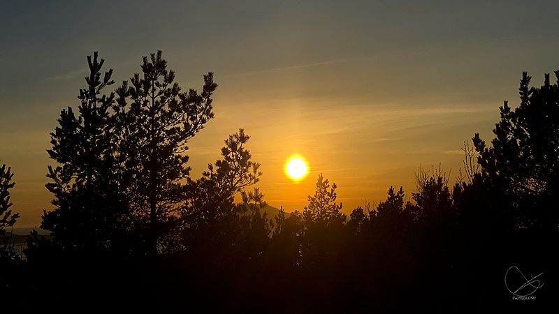 På oppdrag onsdag  19. april