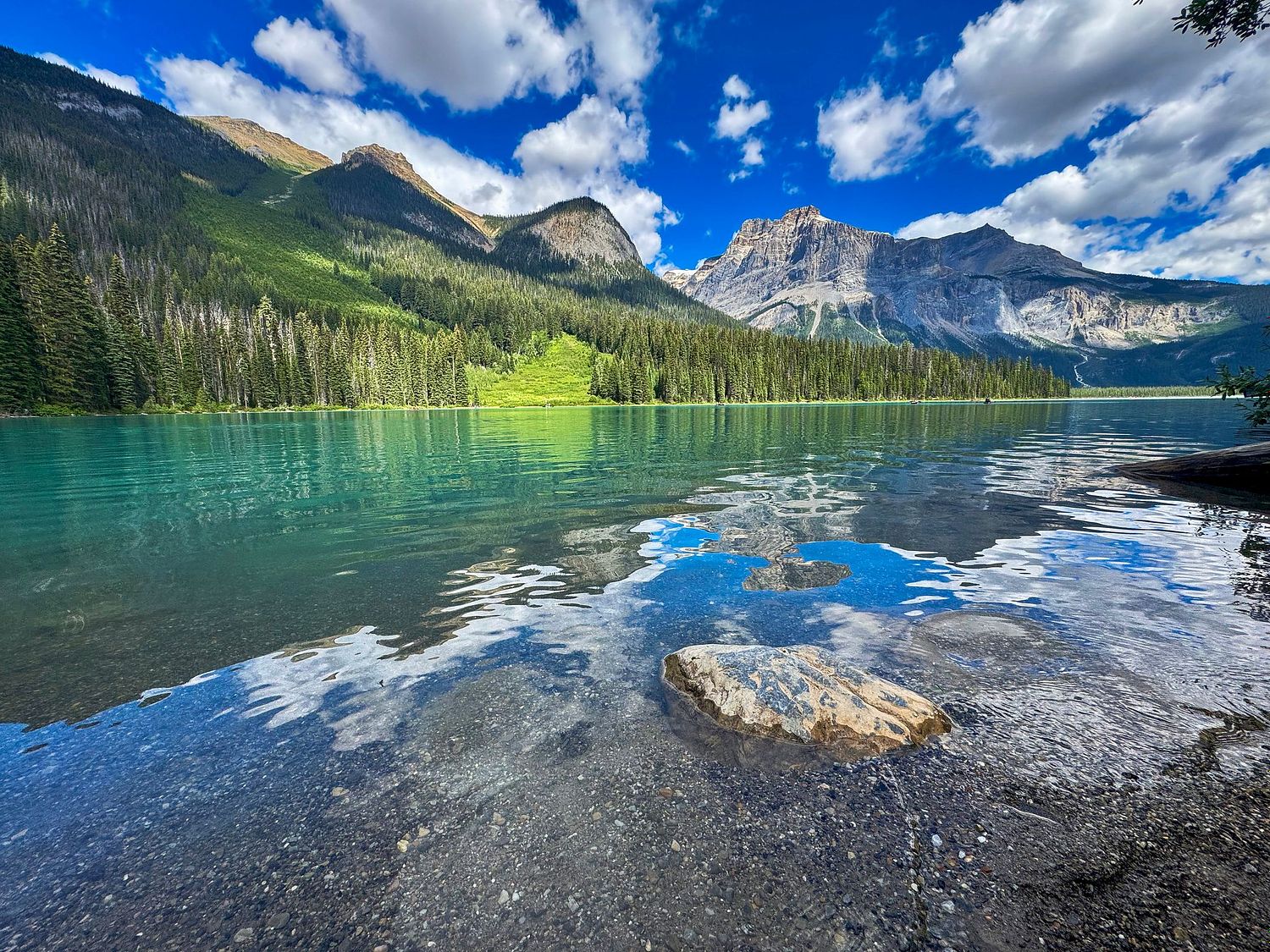 Snehansu Roy Photography