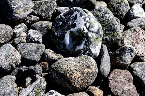 Im Nationalpark Jomfruland