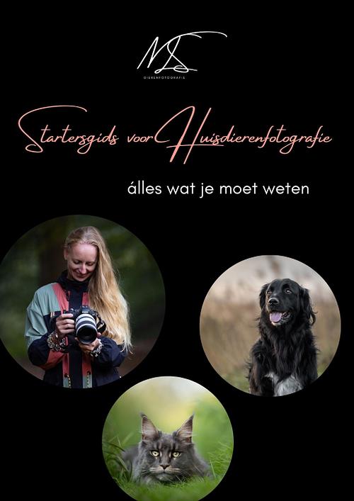 Wat vind je allemaal terug in het boek?