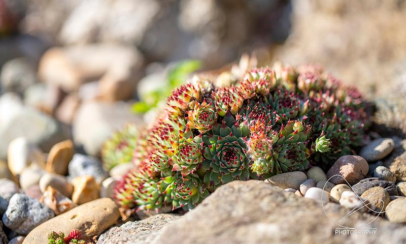 Onsdag er studioet stengt