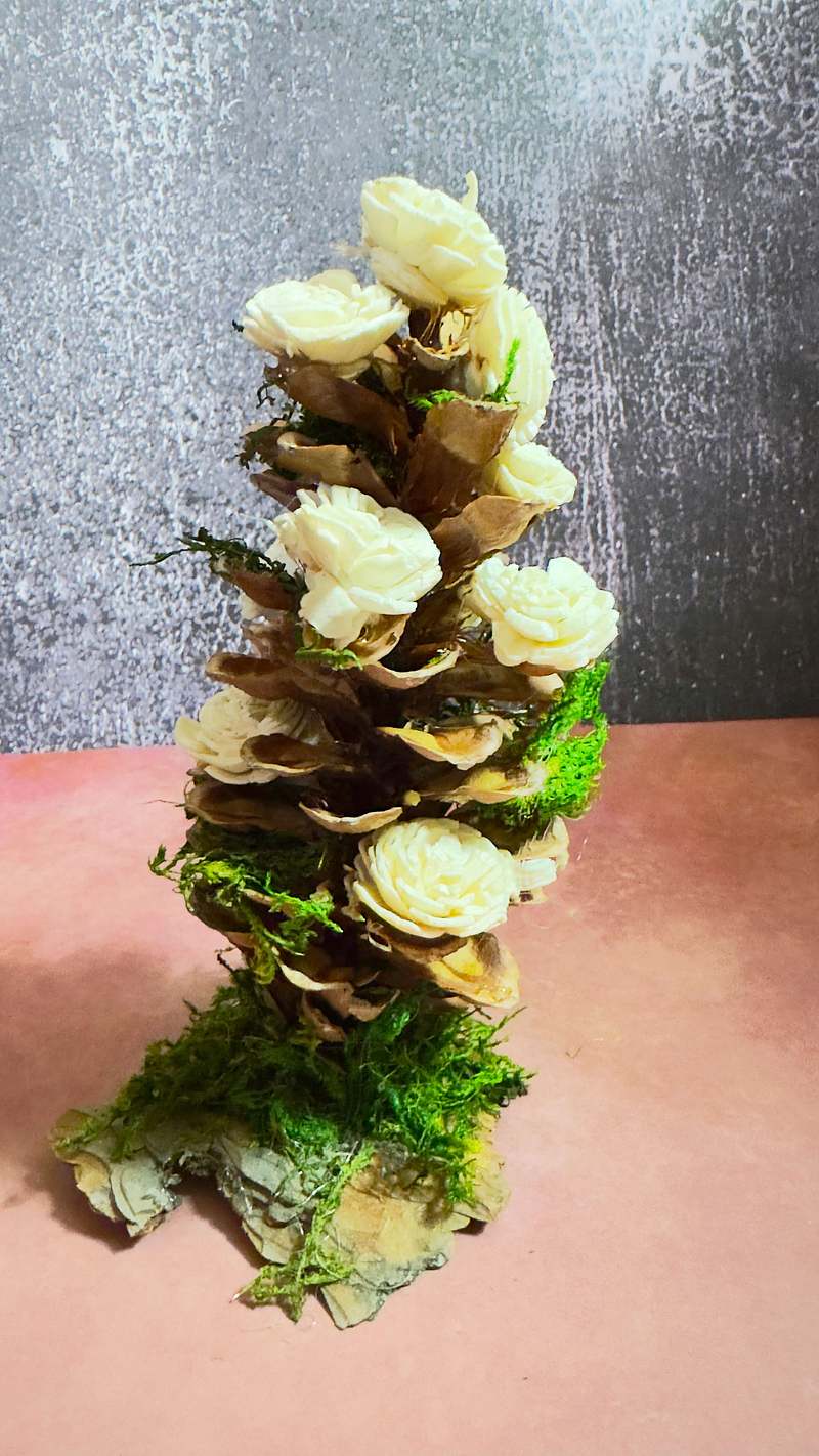 White Fairy Pine Cone Tree