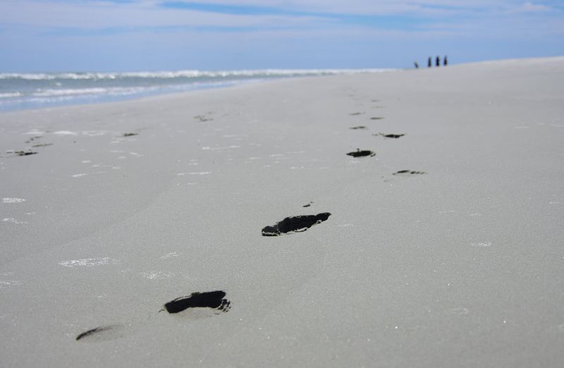Next Steps