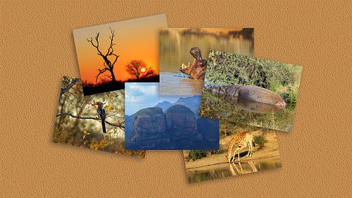 Layout presenting six example photos from the photobook, including a hippo rising from a lake, a resting hippo, a giraffe drinking, a bird perched on a branch, tree silhouettes at sunrise, and a large mountainous rock formation.