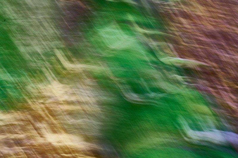 Abstracte natuurfotografie (4 juli 2026)