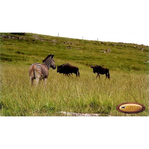 Lake Eland Nature Reserve