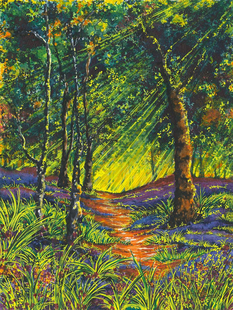 Whispers of a Bluebell Woodland