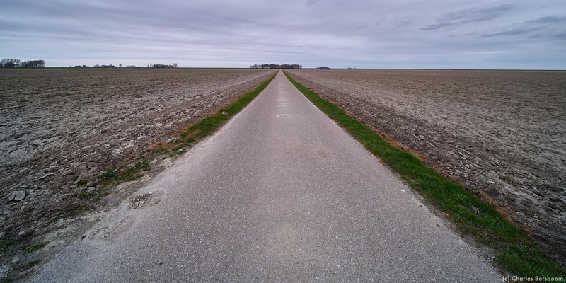 The Next Step (20 - 22 november 2026)