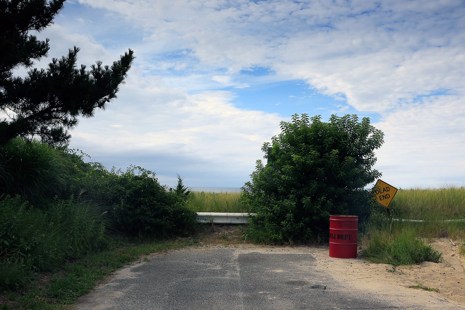 ALISON PERRY PHOTOGRAPHY