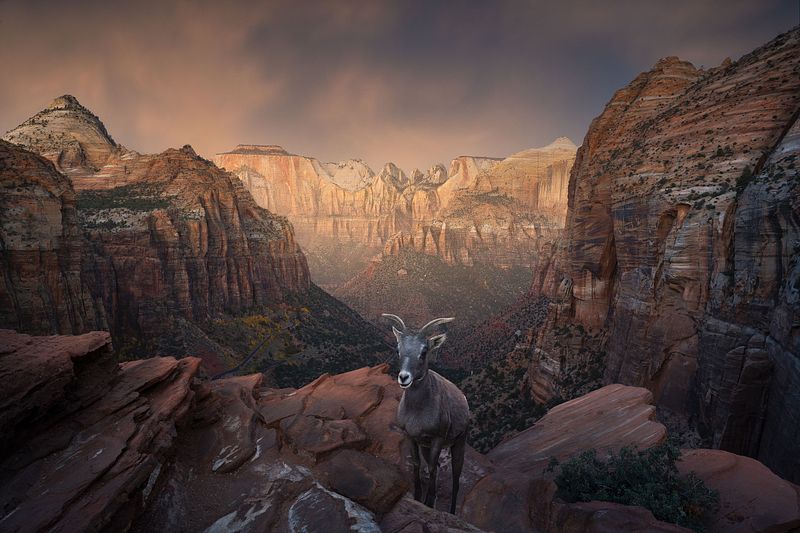 Landscape Photography