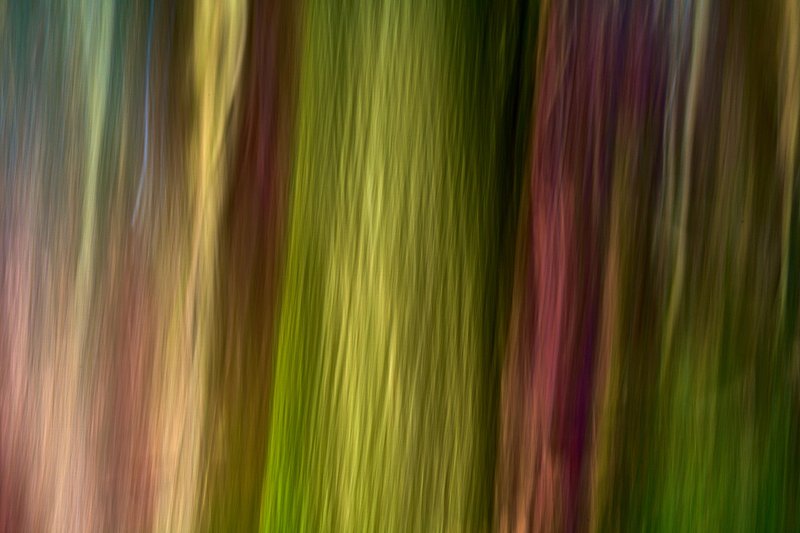 Abstracte natuurfotografie (4 juli 2026)