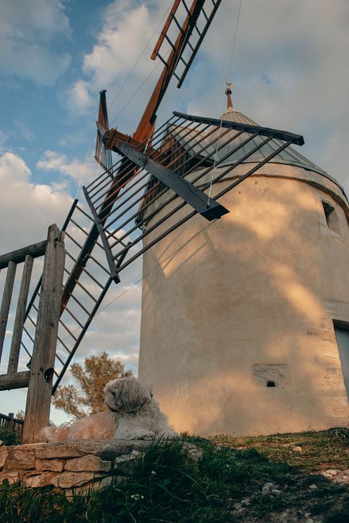 Moulin