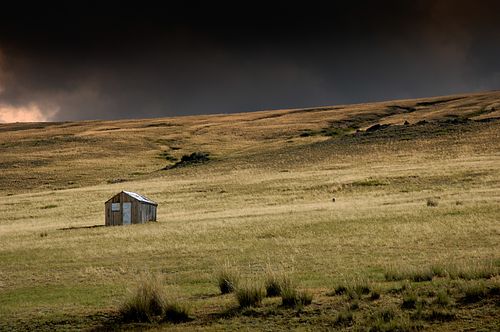 Harnaschpolder vanaf Vermeertoren