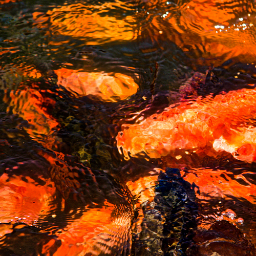 38th Avenue Photography – Commercial Photography That Inspires