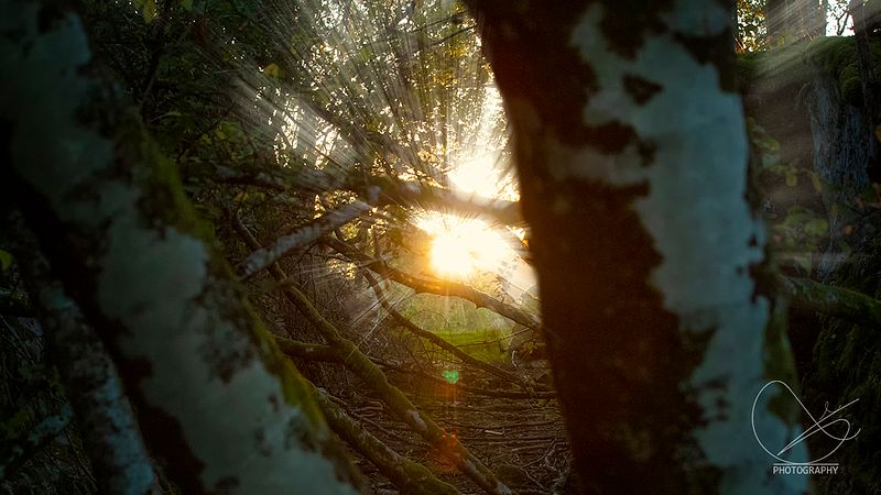 Ute på oppdrag tysdag 13. september