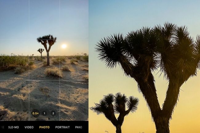 Consejos de fotografía para iPhone