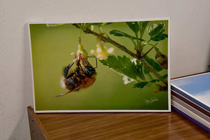 MÜÜA NÄITUSE OLNUD LÕUENDIPILTE