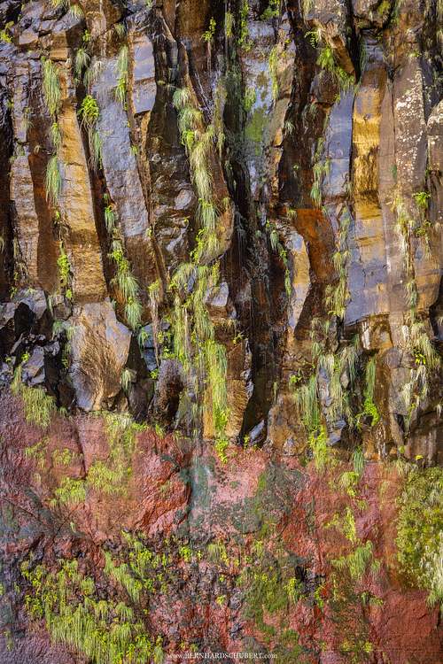 Detail at Risco waterfall