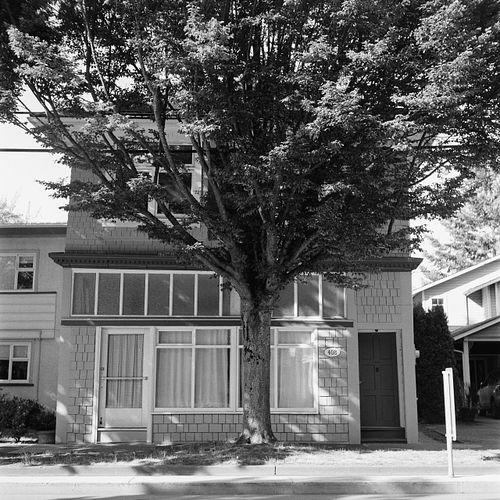 medium format film photo of tree and building hit by nice light