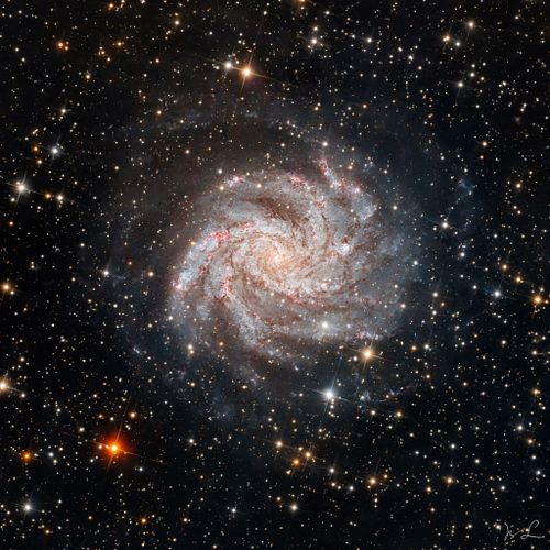 NGC 6946  -  Feuerwerks Galaxie
