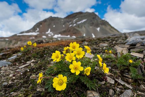 Oberengadiner Landschaft