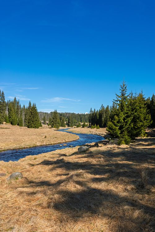 Ruisseau serpentant dans une clairière.