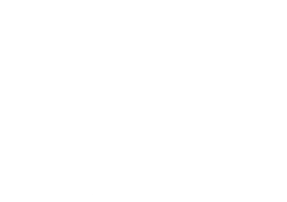 Old Pup New Pics Pet Photography