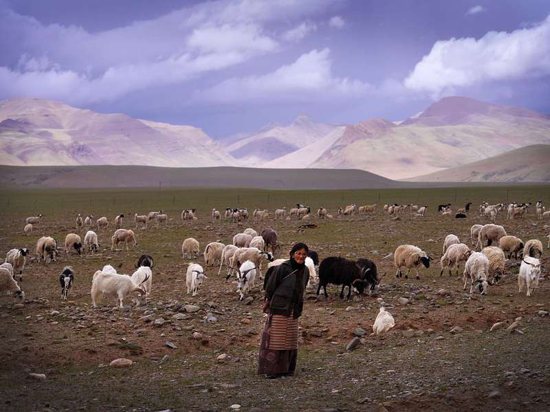 Digital Art Downloads