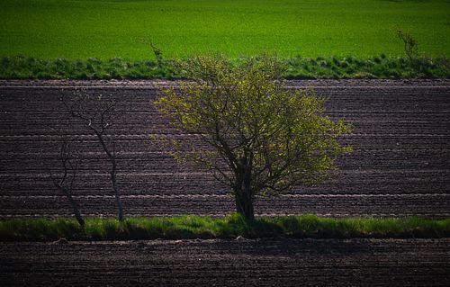 Scouting trip voor Denemarken/Jutland