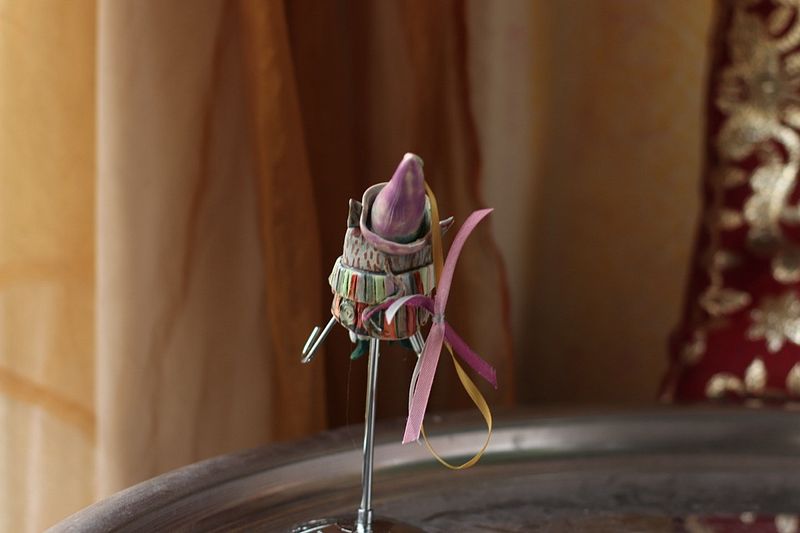 Long-nosed bandicoot? Or funny little rat?