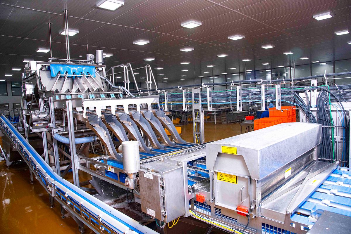 Inside view of the food processing machine.